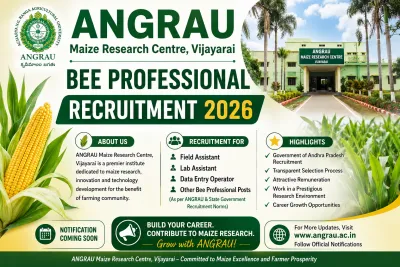 ANGRAU Maize Research Centre, Vijayarai – Bee Professional Recruitment 2026